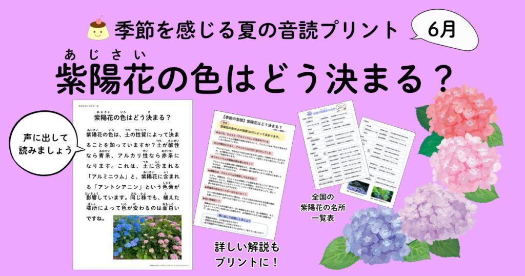 あじさいの色はどう決まる?音読プリント