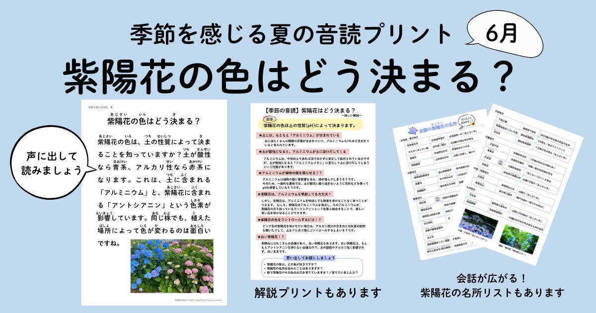 紫陽花の色はどう決まる？アイキャッチ画像