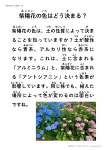 「紫陽花の色はどう決まる?」季節の音読プリント