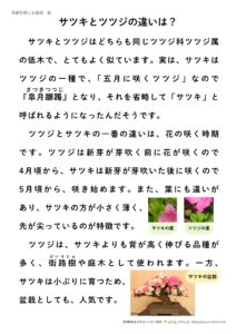 音読プリント「サツキとツツジの違いは?」