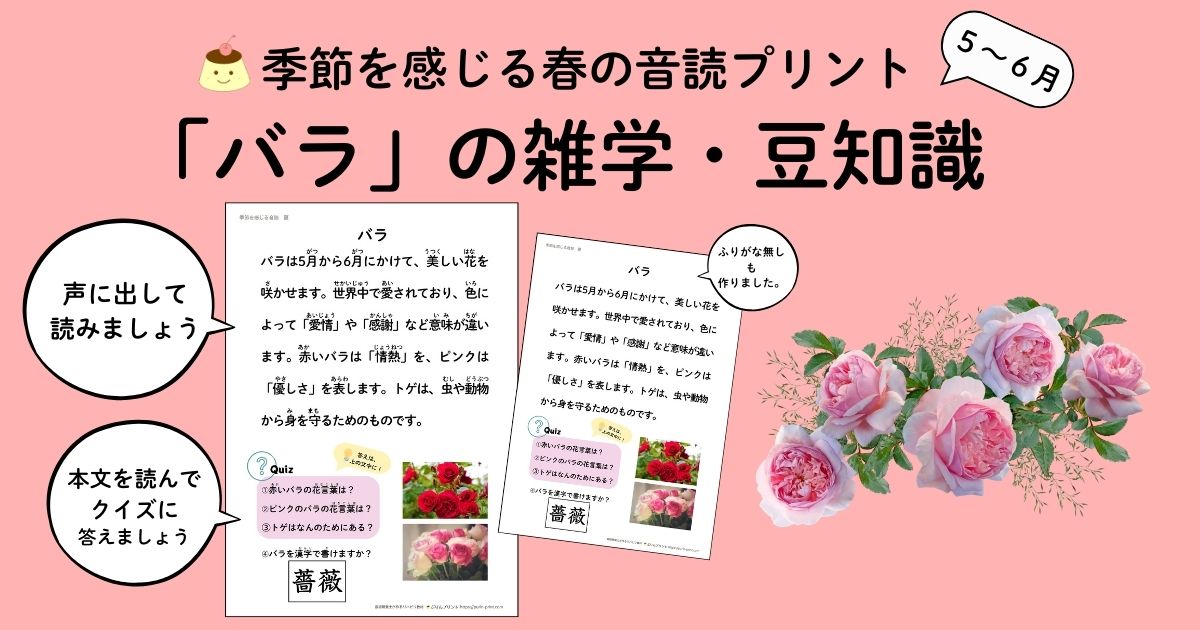 季節を感じる春の音読プリント、バラの雑学・豆知識